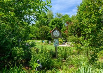 Butterfly Garden