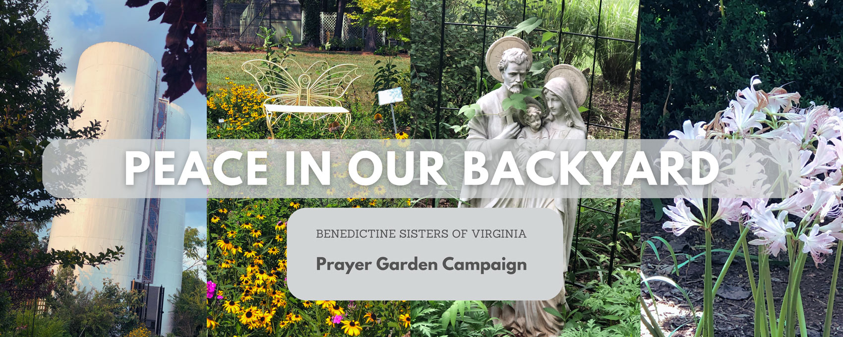 Peace in Our Backyard Graphic